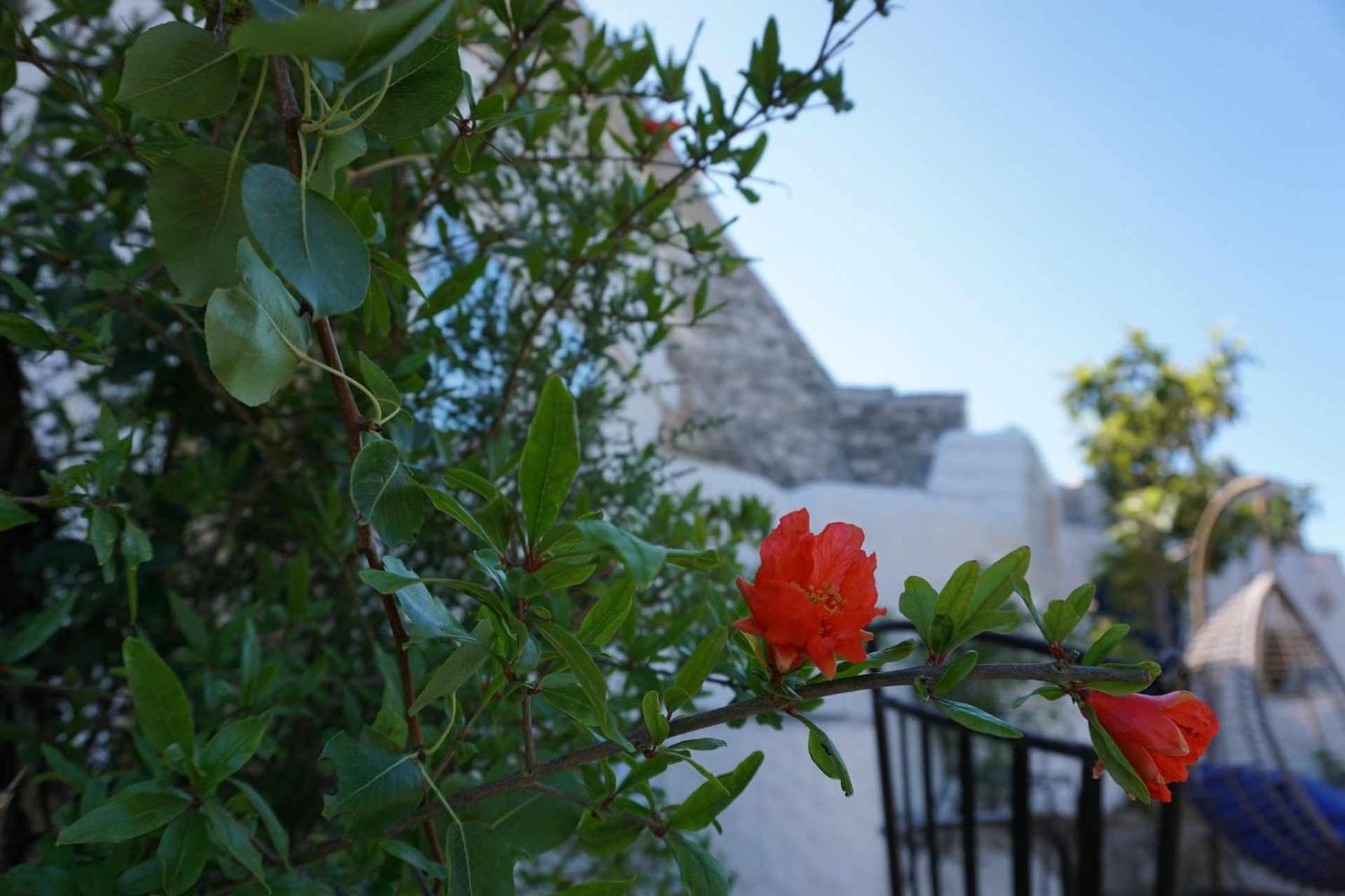 Trullo Biricchino Two Bedroom By Tripostuni Zewnętrze zdjęcie